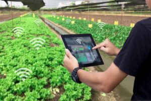 Ứng dụng iot trong canh tác thông minh
