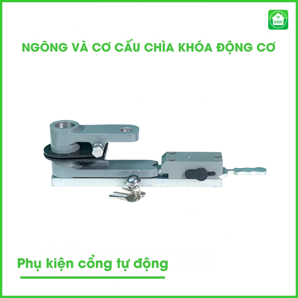 ngong-va-co-cau-chia-khoa2